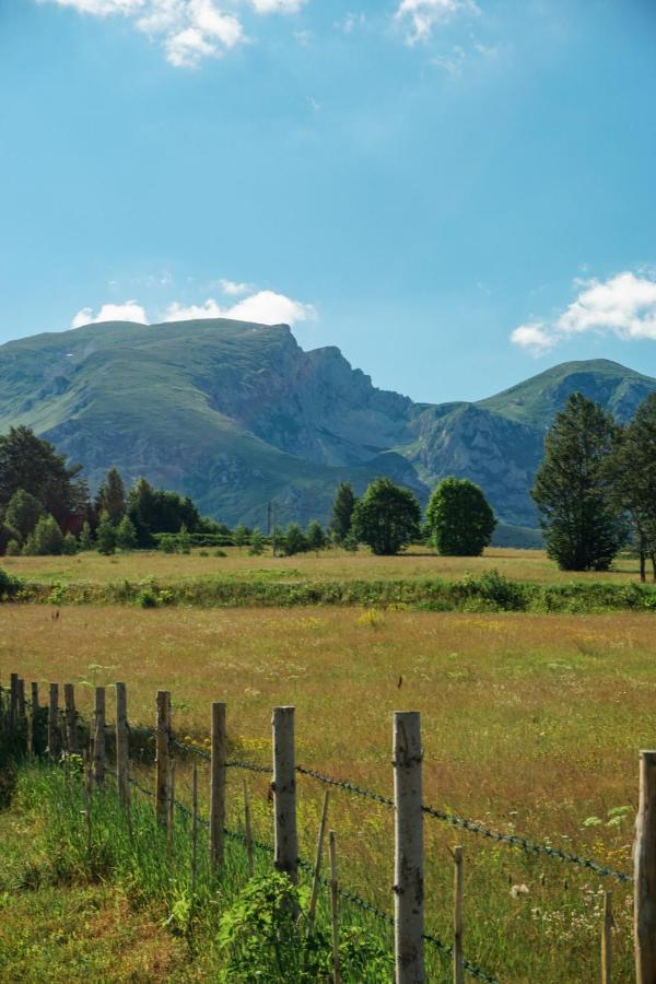 זבליאק Vila Durmitor Nest Krstajic מראה חיצוני תמונה