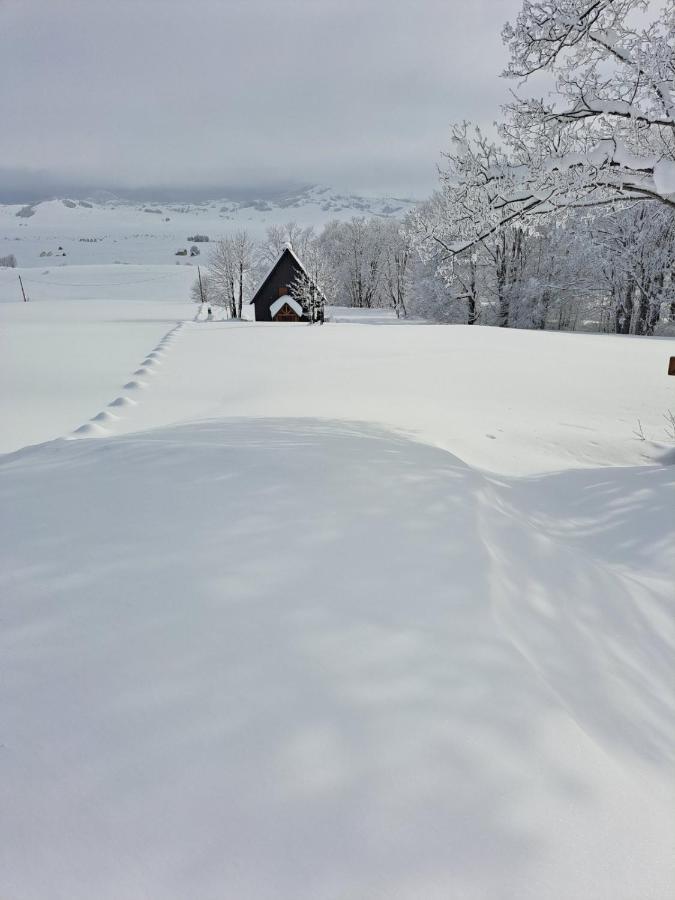 זבליאק Vila Durmitor Nest Krstajic מראה חיצוני תמונה